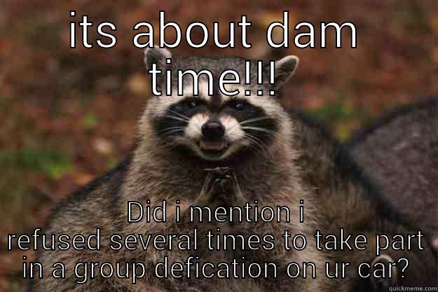 ITS ABOUT DAM TIME!!! DID I MENTION I REFUSED SEVERAL TIMES TO TAKE PART IN A GROUP DEFICATION ON UR CAR? Evil Plotting Raccoon