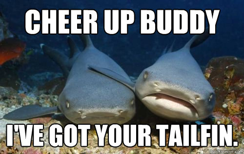 Cheer up buddy I've got your tailfin. - Cheer up buddy I've got your tailfin.  Compassionate Shark Friend