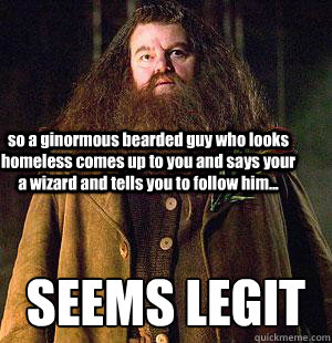 so a ginormous bearded guy who looks homeless comes up to you and says your a wizard and tells you to follow him... SEEMS LEGIT  Hagrid