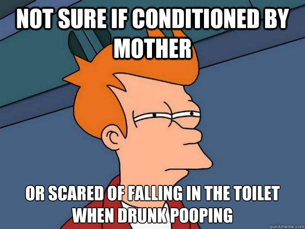 Not sure if conditioned by  mother Or scared of falling in the toilet when drunk pooping  Futurama Fry