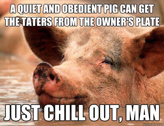 a quiet and obedient pig can get the taters from the owner's plate just chill out, man  Stoner Pig
