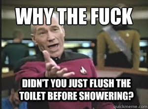 WHY THE FUCK DIDN'T YOU JUST FLUSH THE TOILET BEFORE SHOWERING?  Annoyed Picard