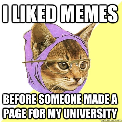 I liked memes before someone made a page for my university  Hipster Kitty