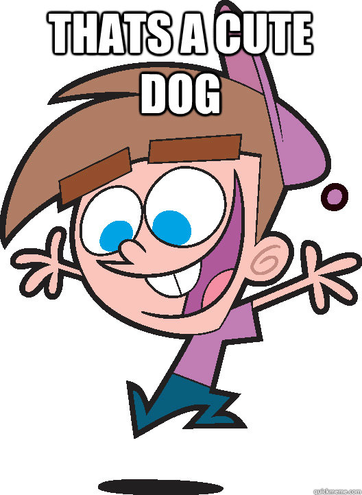 Thats a cute dog   Timmyturner