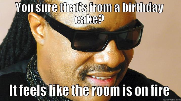 Stevie Wonder Birthday - YOU SURE THAT'S FROM A BIRTHDAY CAKE? IT FEELS LIKE THE ROOM IS ON FIRE Misc