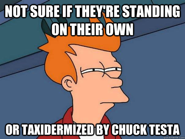 Not sure if they're standing on their own or taxidermized by Chuck Testa  Futurama Fry