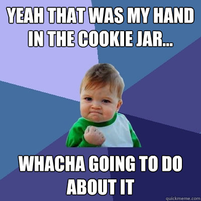 yeah that was my hand in the cookie jar... Whacha going to do about it  Success Kid