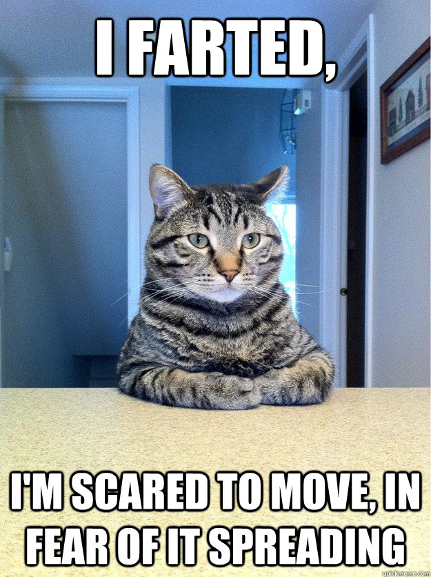 i farted, i'm scared to move, in fear of it spreading  Chris Hansen Cat
