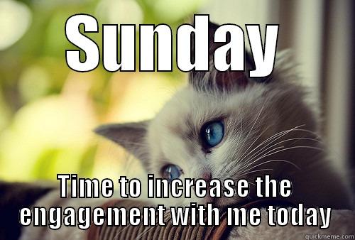 SUNDAY TIME TO INCREASE THE ENGAGEMENT WITH ME TODAY First World Problems Cat