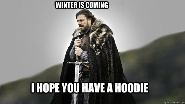I HOPE YOU HAVE A HOODIE WINTER IS COMING  Ned stark winter is coming