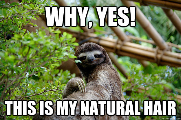 Why, Yes! This is my natural hair  Fabulous Sloth