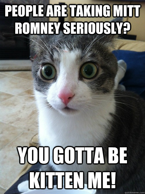 People are taking Mitt Romney Seriously? You gotta be kitten me!  Sudden Clarity Cat