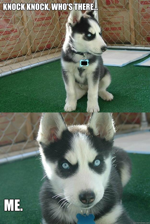 Knock Knock, who's there... Me.  Insanity puppy