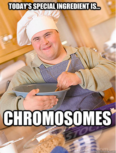 today's special ingredient is... chromosomes  Downie Chef