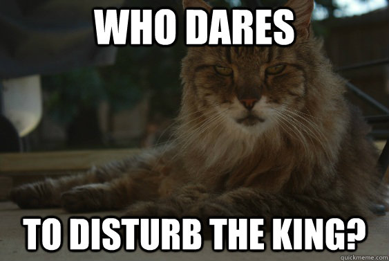 Who dares to disturb the King? - Who dares to disturb the King?  King of the Backyard