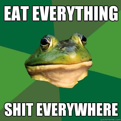 eat everything shit everywhere  Foul Bachelor Frog