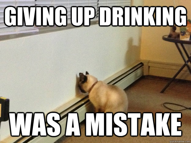 giving up drinking was a mistake - giving up drinking was a mistake  Regretful Cat