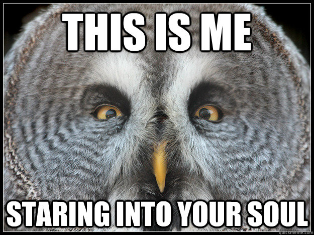 THIS IS ME STARING INTO YOUR SOUL - THIS IS ME STARING INTO YOUR SOUL  Wise Owl Knows