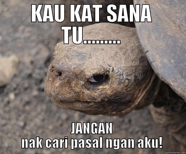 KAU KAT SANA TU......... JANGAN NAK CARI PASAL NGAN AKU! Angry Turtle