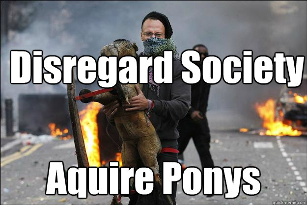 Disregard Society Aquire Ponys - Disregard Society Aquire Ponys  Hipster Rioter