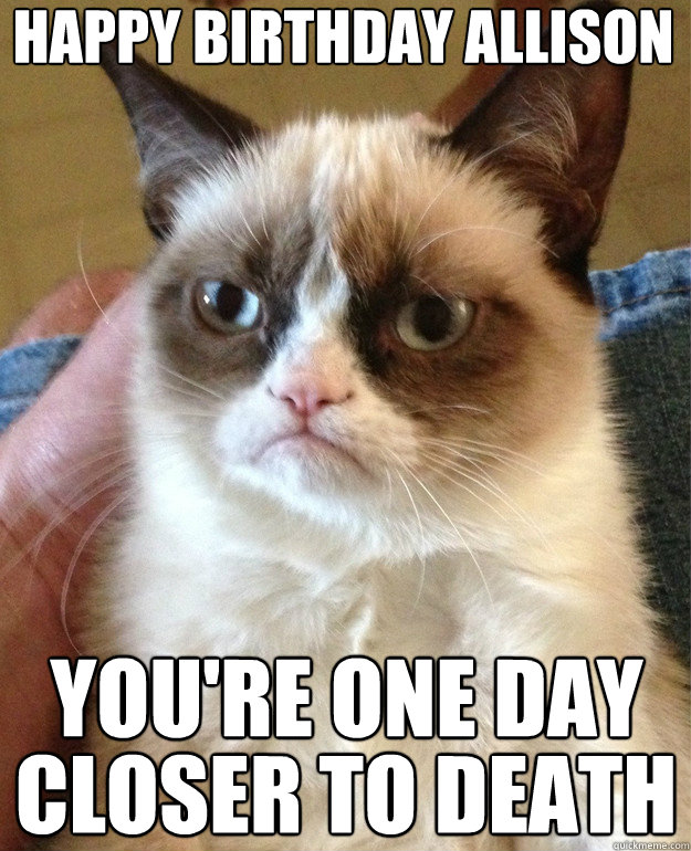 happy birthday allison you're one day closer to death  Grumpy Cat