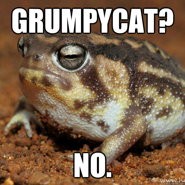Grumpycat? No.  