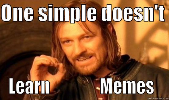 ONE SIMPLE DOESN'T  LEARN                MEMES  Boromir