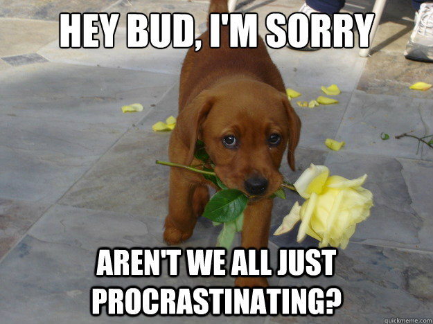 Hey bud, I'm sorry Aren't we all just procrastinating?  Sorry Dog