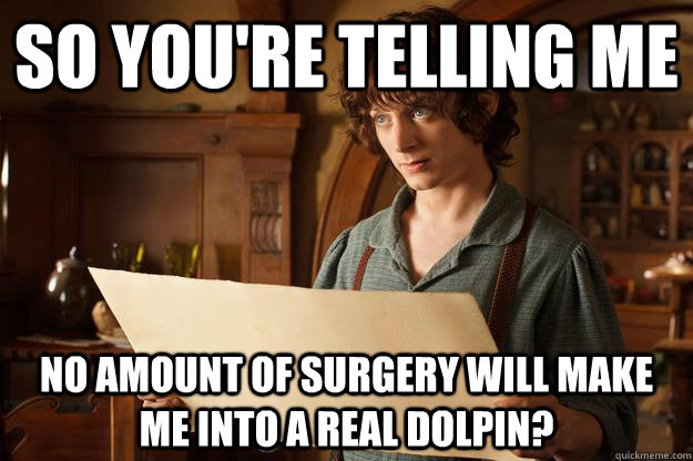So you're telling me no amount of surgery will make me into a real dolpin?  