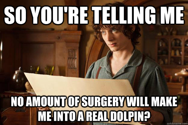 So you're telling me no amount of surgery will make me into a real dolpin? - So you're telling me no amount of surgery will make me into a real dolpin?  Annoyed Frodo