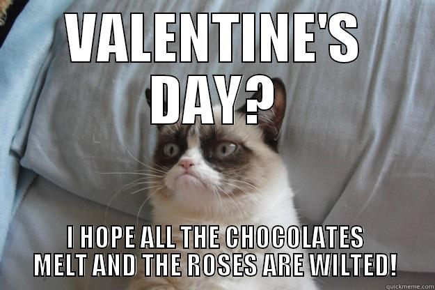 VALENTINE'S DAY? I HOPE ALL THE CHOCOLATES MELT AND THE ROSES ARE WILTED! Grumpy Cat