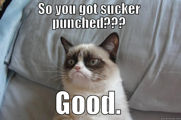 Punched in the face - SO YOU GOT SUCKER PUNCHED??? GOOD. Grumpy Cat