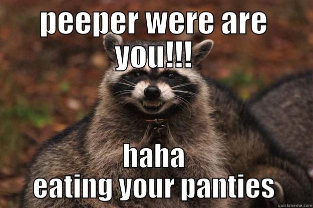 hehe peepers - PEEPER WERE ARE YOU!!! HAHA EATING YOUR PANTIES Evil Plotting Raccoon