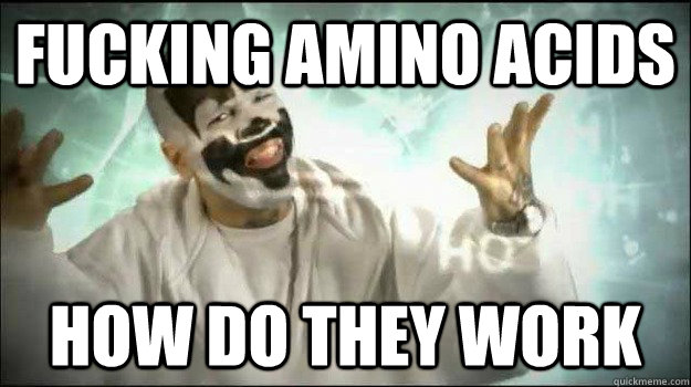 fucking amino acids how do they work  