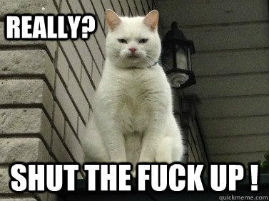 Really? Shut The Fuck up ! - Really? Shut The Fuck up !  STFU Cat