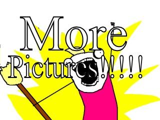 MORE PICTURES!!!!! All The Things