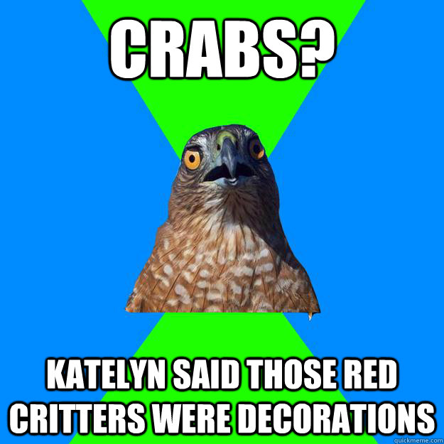 Crabs? Katelyn said those red critters were decorations - Crabs? Katelyn said those red critters were decorations  Hawkward Hawk