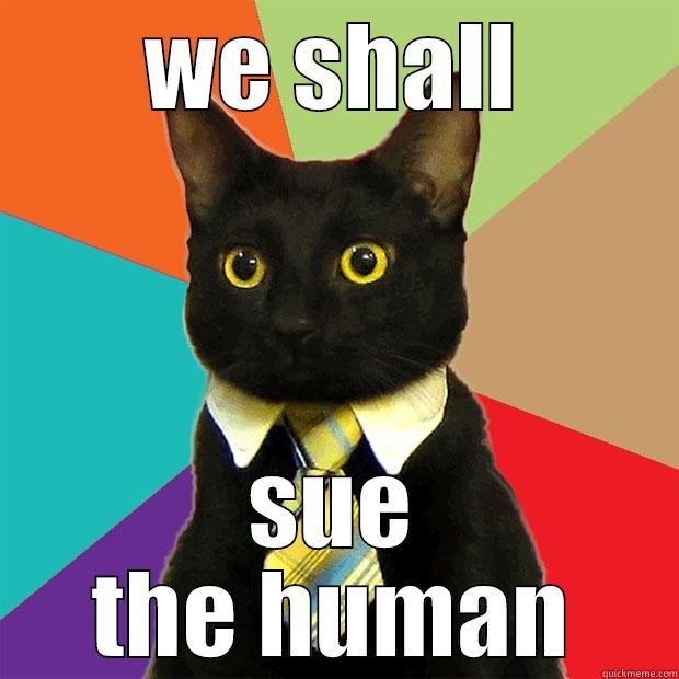 WE SHALL SUE THE HUMAN Business Cat