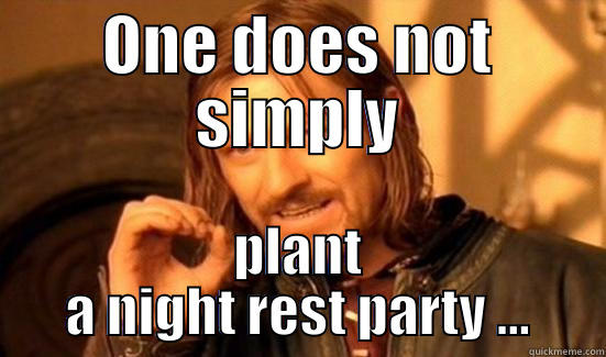 ONE DOES NOT SIMPLY PLANT A NIGHT REST PARTY ... Boromir