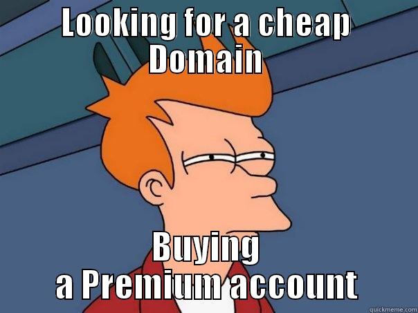 LOOKING FOR A CHEAP DOMAIN BUYING A PREMIUM ACCOUNT Futurama Fry
