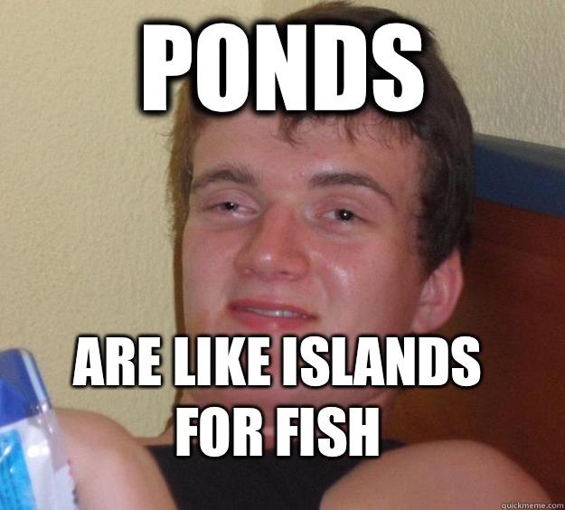 Ponds Are like islands for fish - Ponds Are like islands for fish  10 Guy