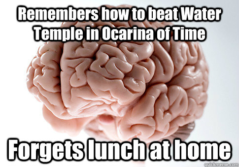Remembers how to beat Water Temple in Ocarina of Time Forgets lunch at home  Scumbag Brain