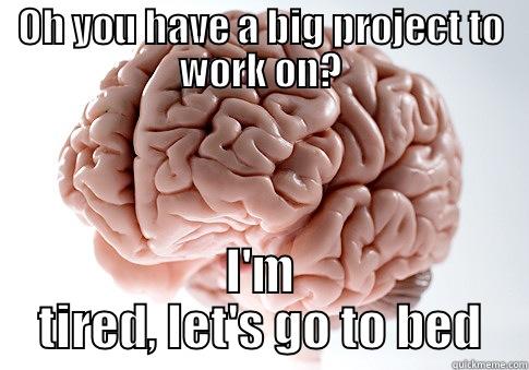 OH YOU HAVE A BIG PROJECT TO WORK ON? I'M TIRED, LET'S GO TO BED Scumbag Brain