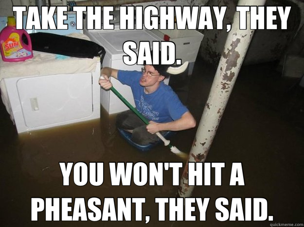 TAKE THE HIGHWAY, THEY SAID. YOU WON'T HIT A PHEASANT, THEY SAID.  Laundry Room Viking
