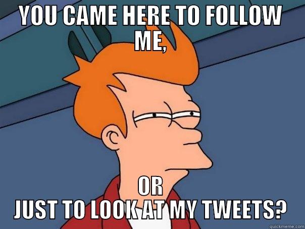 YOU CAME HERE TO FOLLOW ME, OR JUST TO LOOK AT MY TWEETS? Futurama Fry