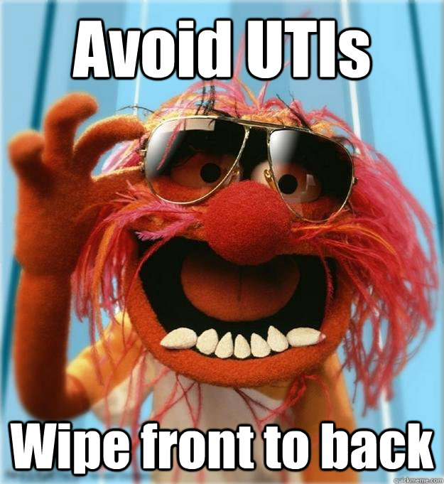 Avoid UTIs Wipe front to back - Avoid UTIs Wipe front to back  Advice Animal