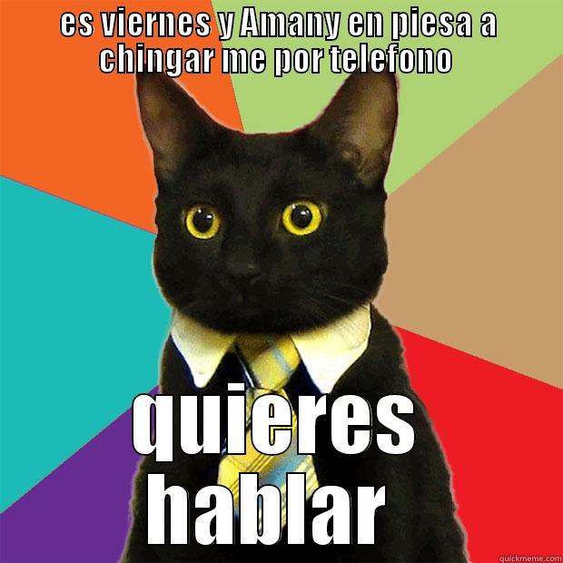 ES VIERNES Y AMANY EN PIESA A CHINGAR ME POR TELEFONO  QUIERES HABLAR  Business Cat