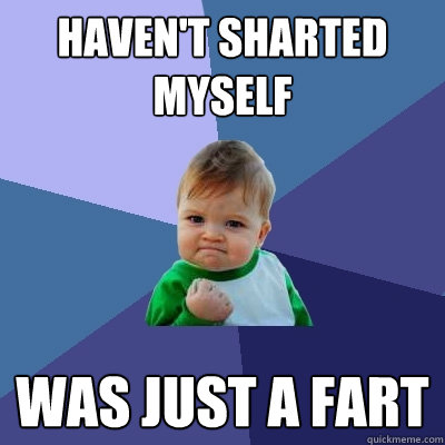 haven't sharted myself was just a fart  Success Kid