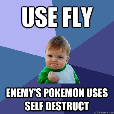 Use Fly enemy's pokemon uses self destruct  Success Kid