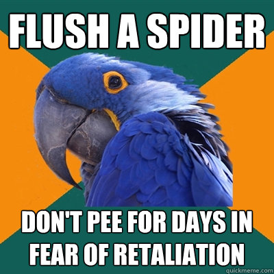 flush a spider don't pee for days in fear of retaliation  Paranoid Parrot